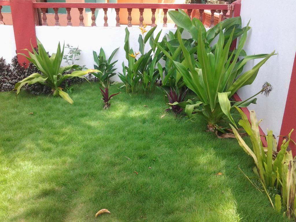 Starco Anjuna Exterior foto